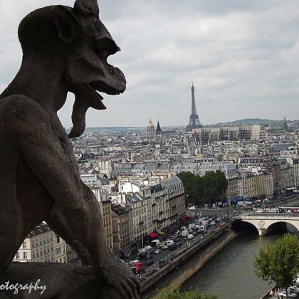view from top of of Notre-Dame and Gargoyle at the
