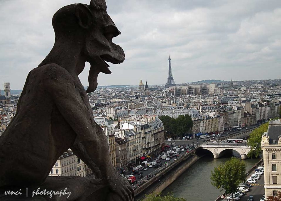 view from top of of Notre-Dame and Gargoyle at the