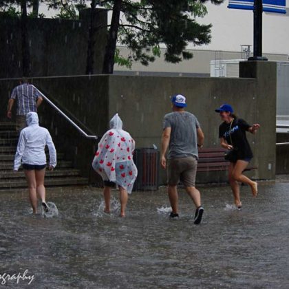 Blue Jays fans in pouring rain