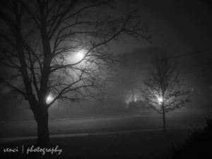 neighborhood, Toronto